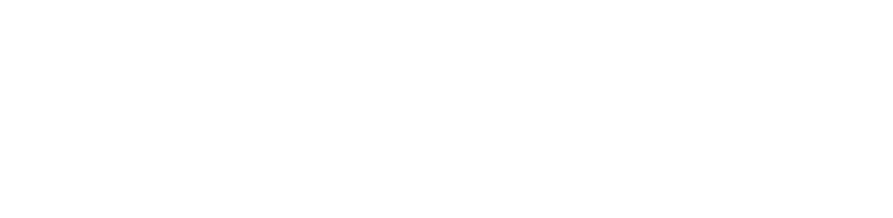 Passab Assistans